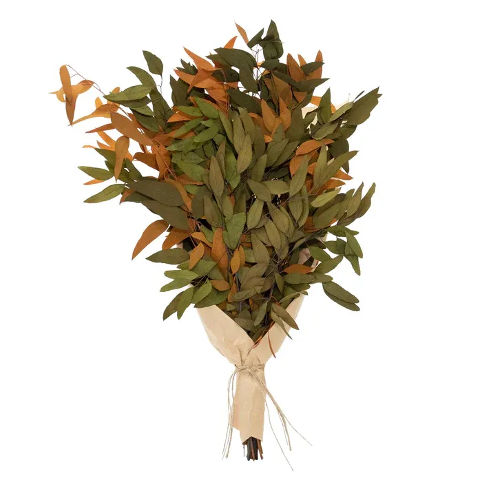 Farmhouse Willow Bundle Golden And Olive