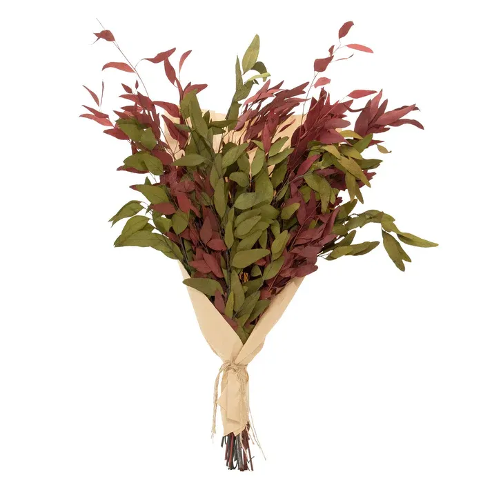 Farmhouse Willow Bundle Red And Olive