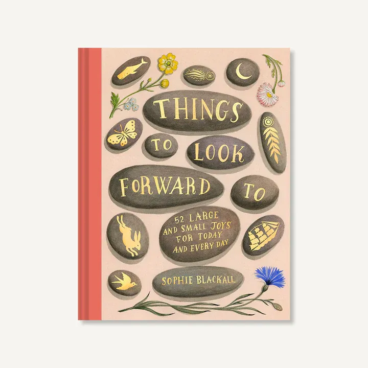 Things To Look Forward To Book