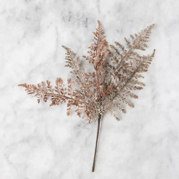 Fern Bush Stem In Rust