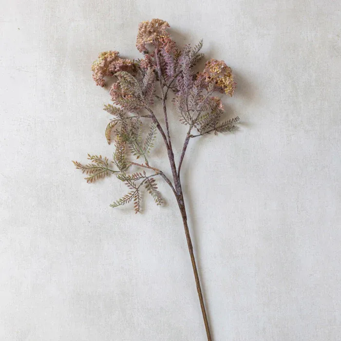 Hemlock Stem