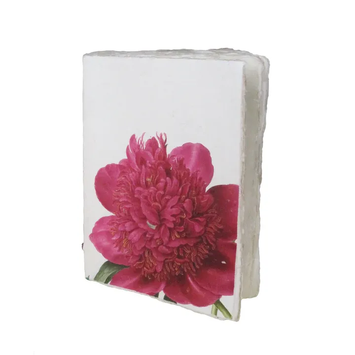 Handmade Parchment Paper Notebook Close Up Nassau Peony 10x15cm