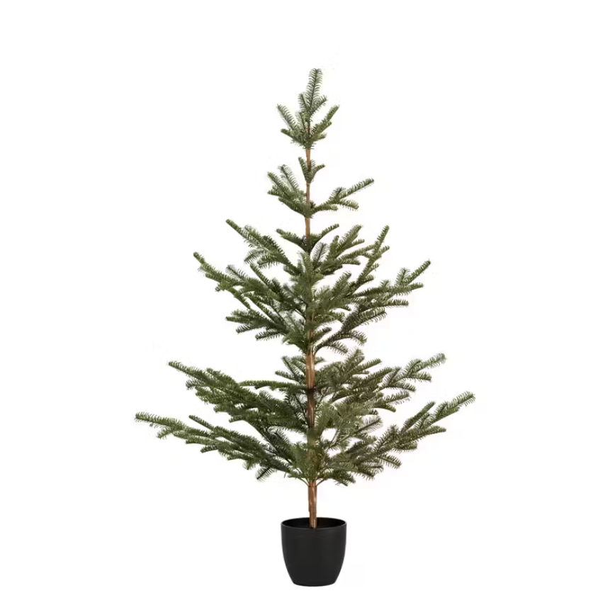 Green Spruce Tree In Black Pot 59&quot;