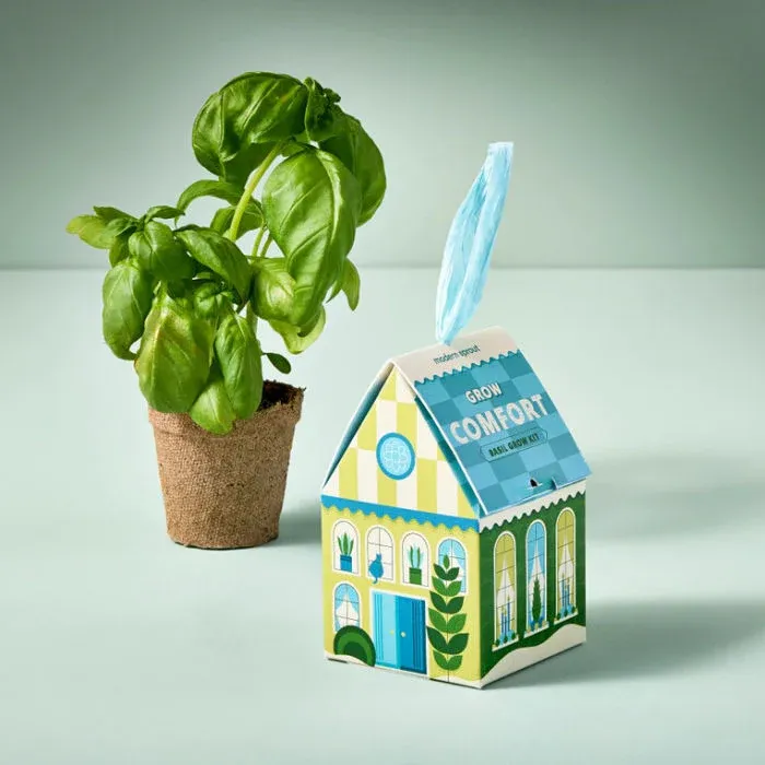 Grow Comfort Basil Grow Kit In Ornament Box