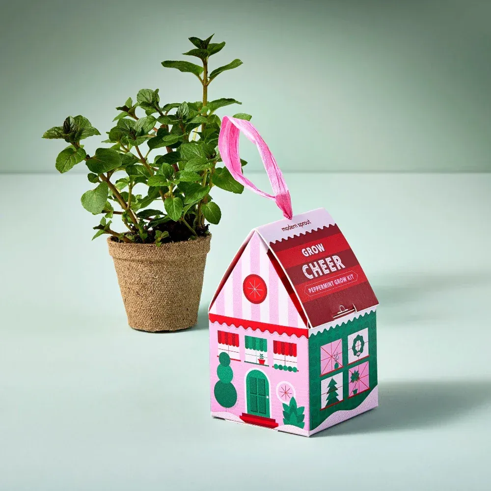 Grow Cheer Peppermint Grow Kit In Ornament Box Final Sale