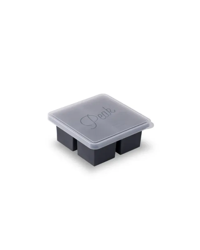 Peak 4 Cube Freezer Tray For Meal Prep In Charcoal