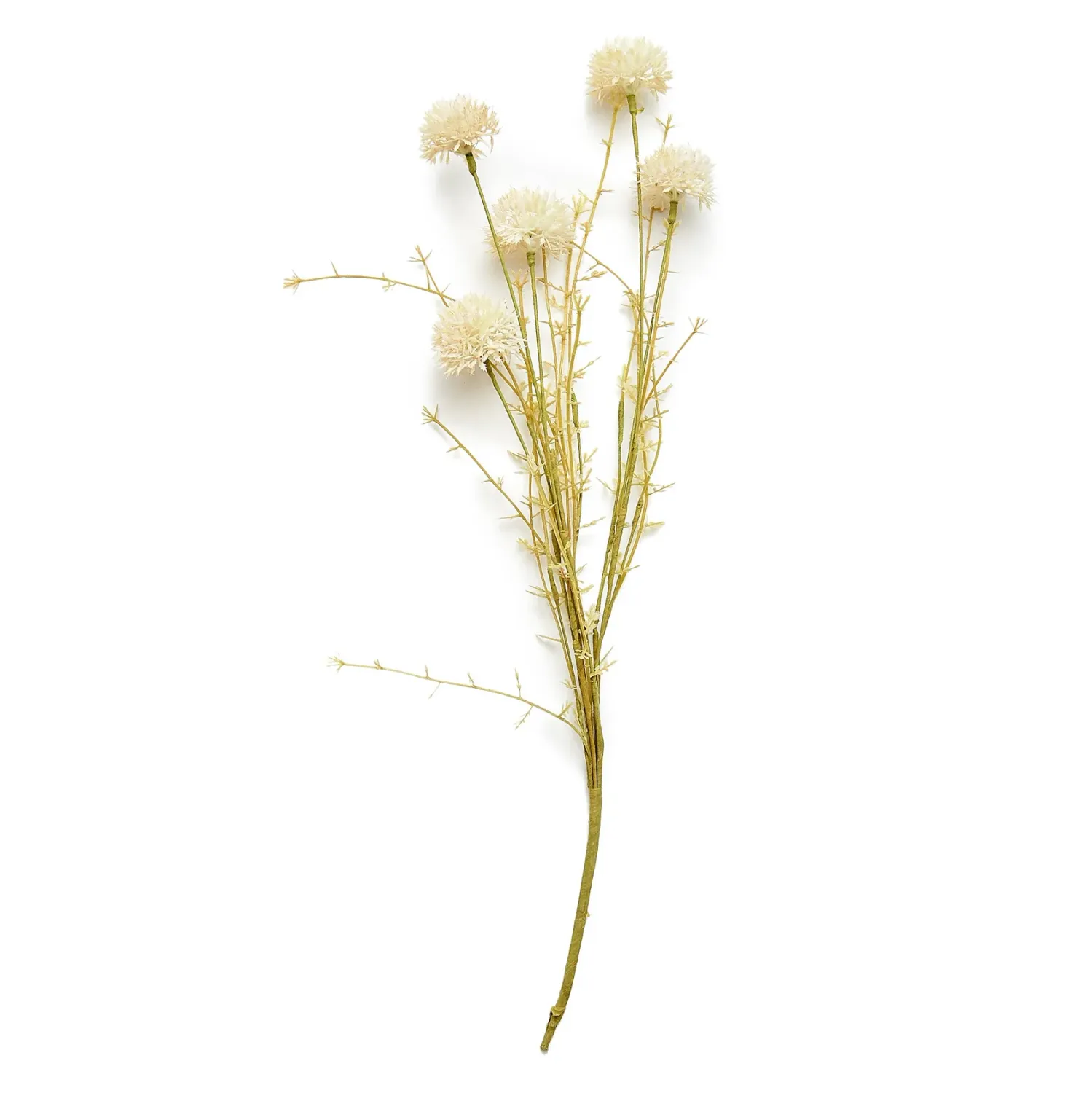 Melaleuca Stem Cream
