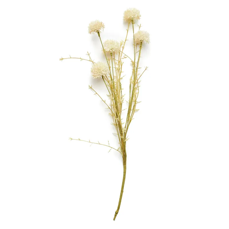 Melaleuca Stem Cream