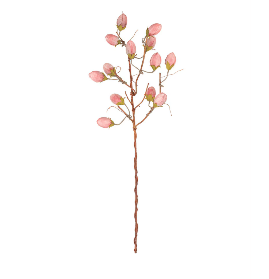 Botanica Brown Stem With Pink Bud Pods 48&quot;