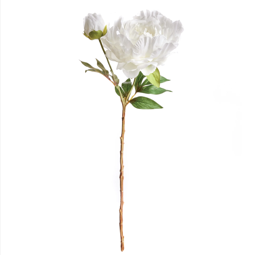 Peony Stem 21&quot; Cream