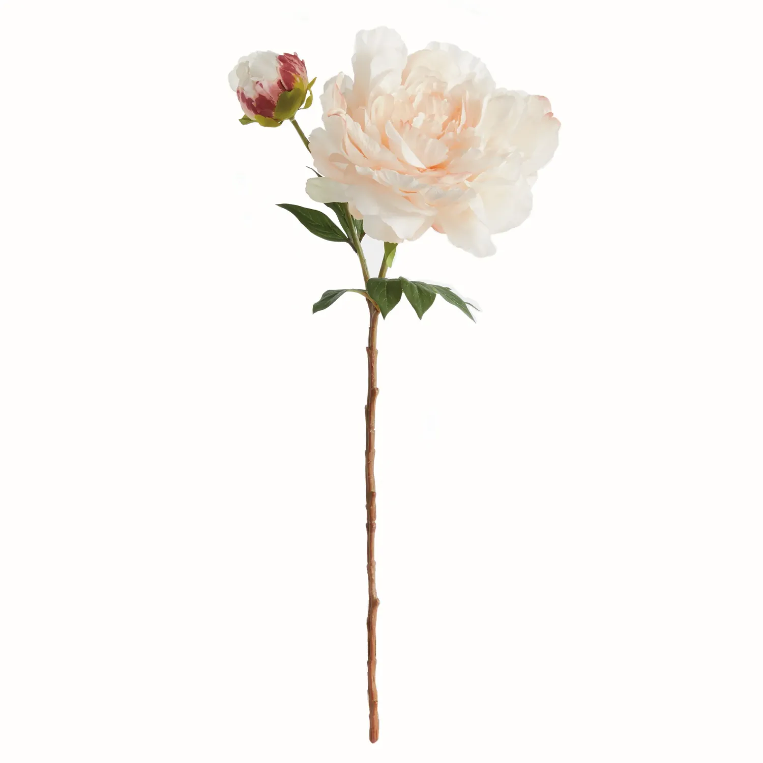 Peony Stem 21&quot; Peach