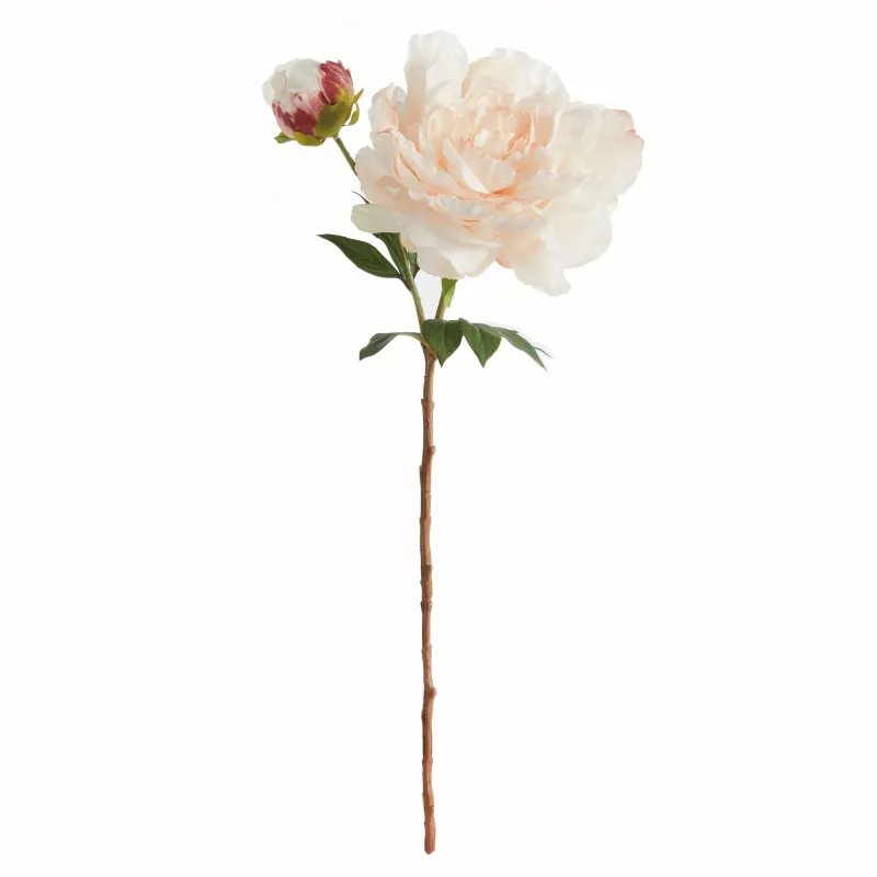 Peony Stem 21&quot; Peach