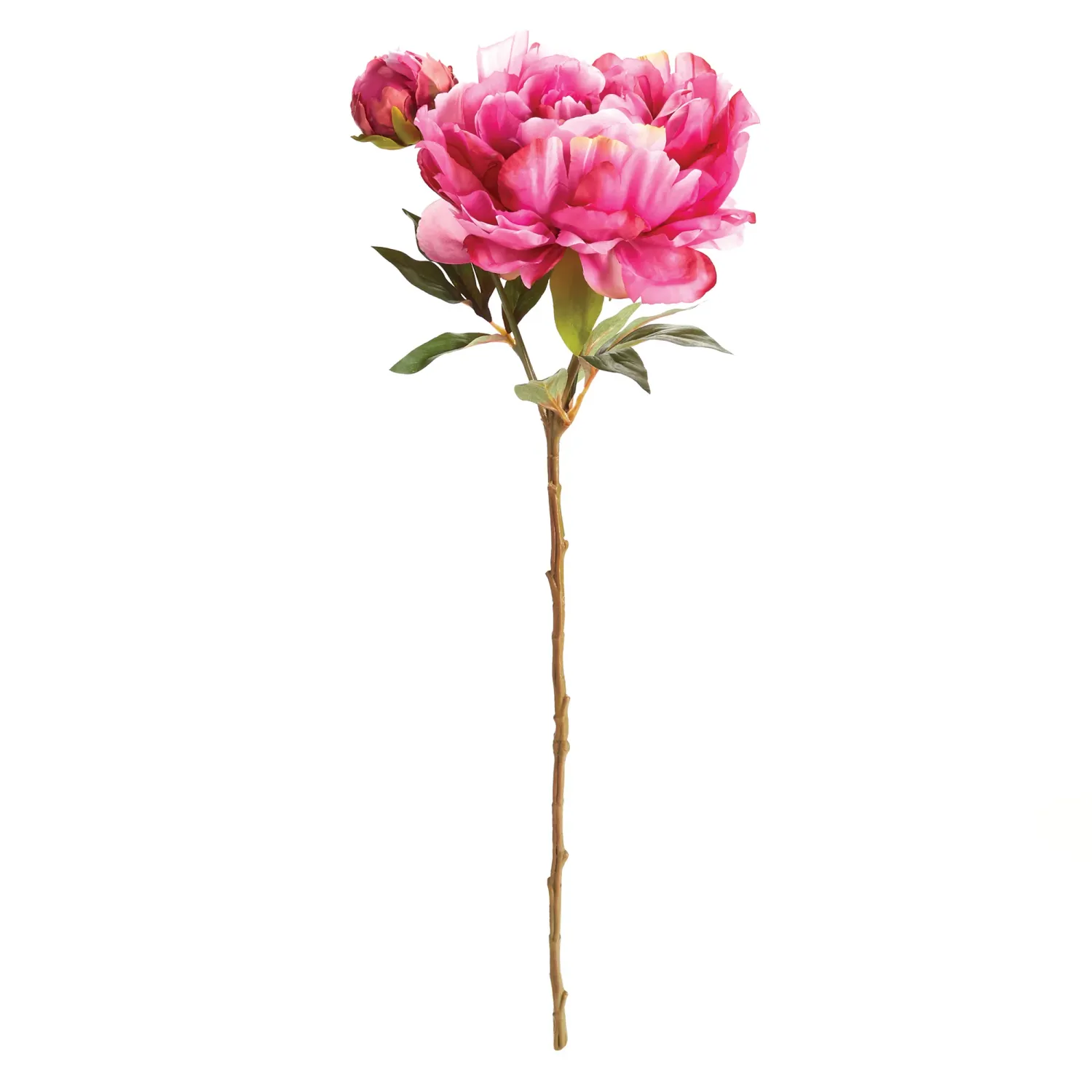 Peony Stem 21&quot; Fuchsia