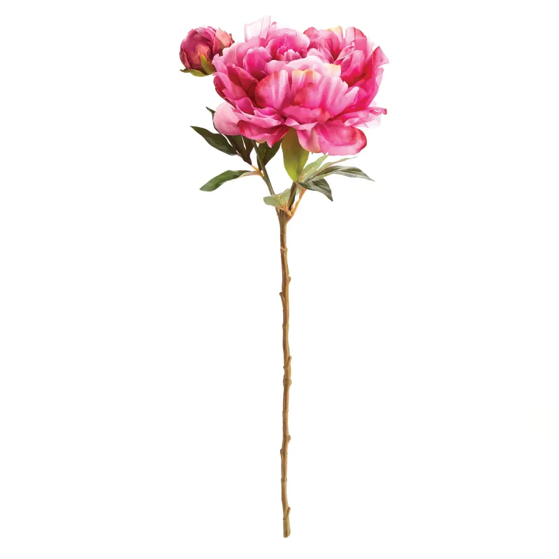 Peony Stem 21&quot; Fuchsia