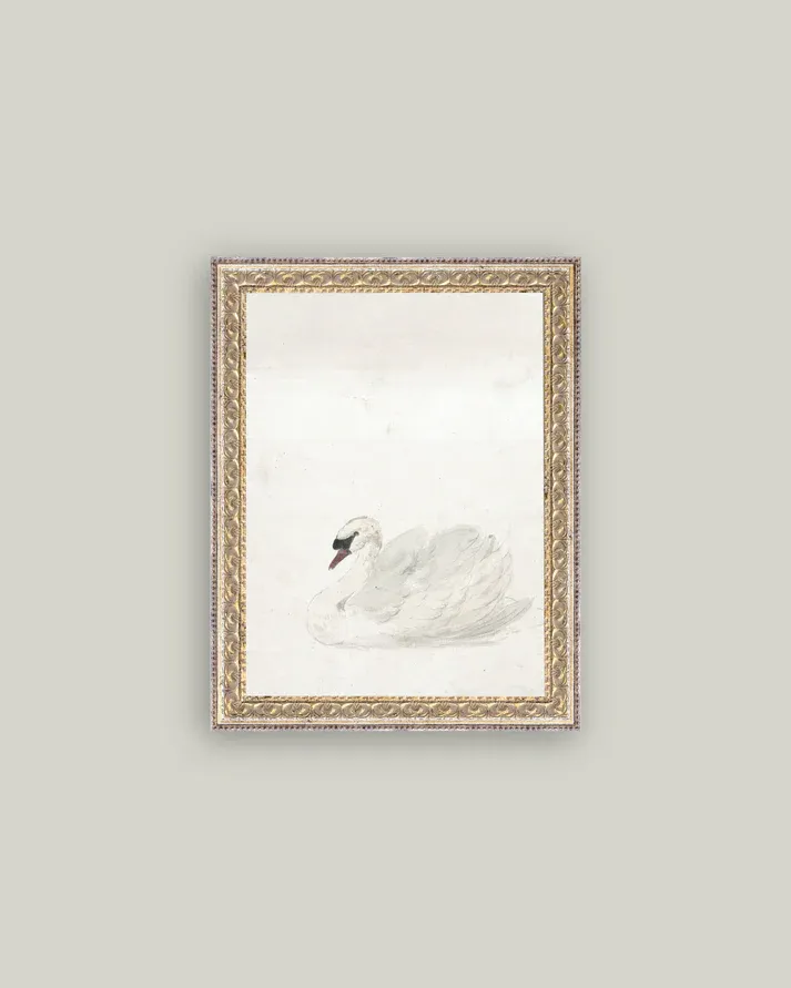 Swan In Fancy Gold Frame 12&quot; x 16&quot;