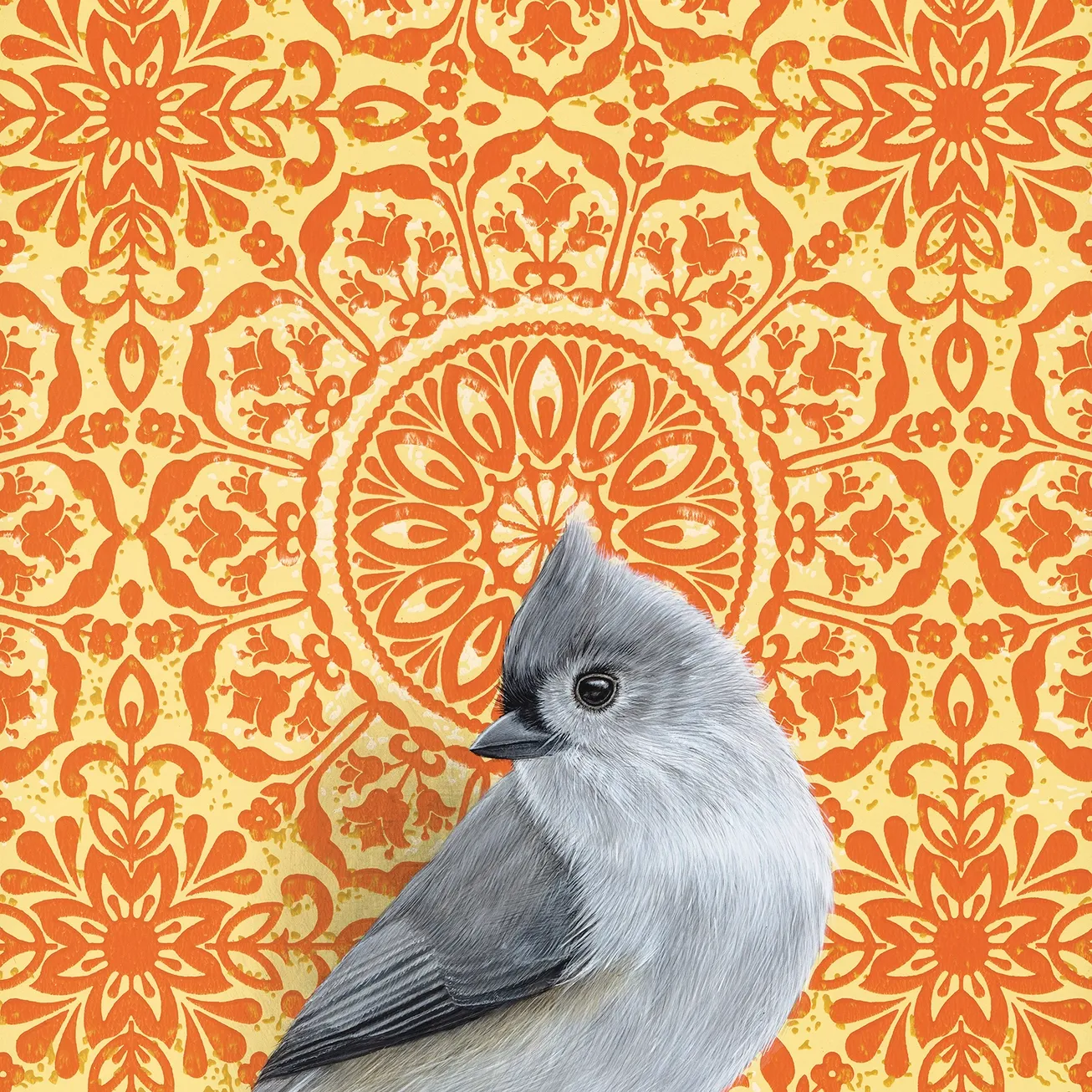 Fine Art Print Tufted Titmouse 8.5&quot; x 8.5&quot;