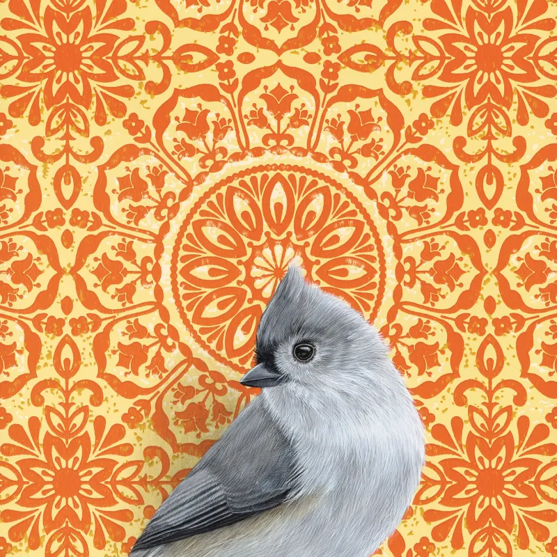 Fine Art Print Tufted Titmouse 8.5&quot; x 8.5&quot;