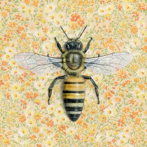 Fine Art Print Honeybee Yellow 8.5&quot; x 8.5&quot;
