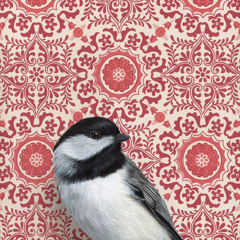 Fine Art Print Chickadee 8.5&quot; x 8.5&quot;