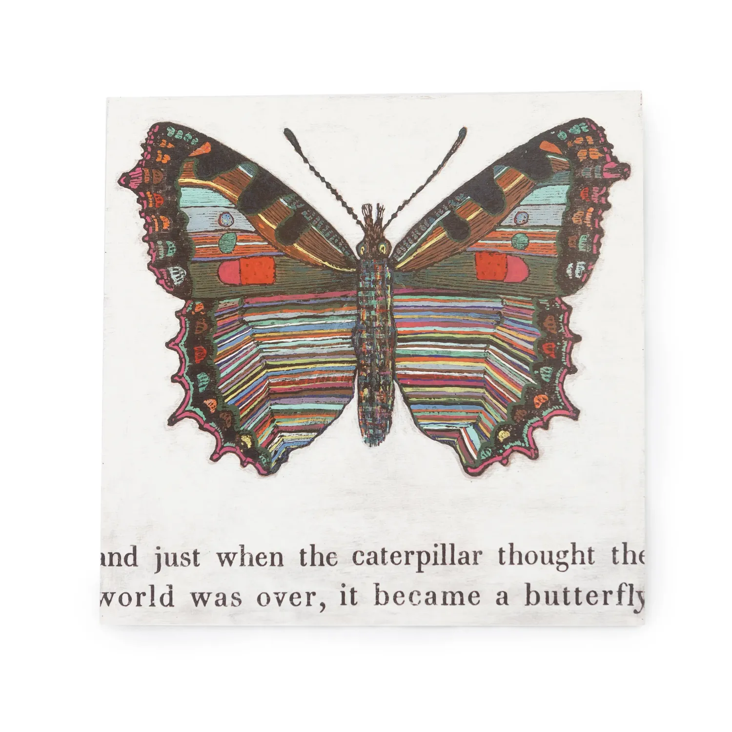 Art Poster Butterfly 12&quot; x 12&quot;