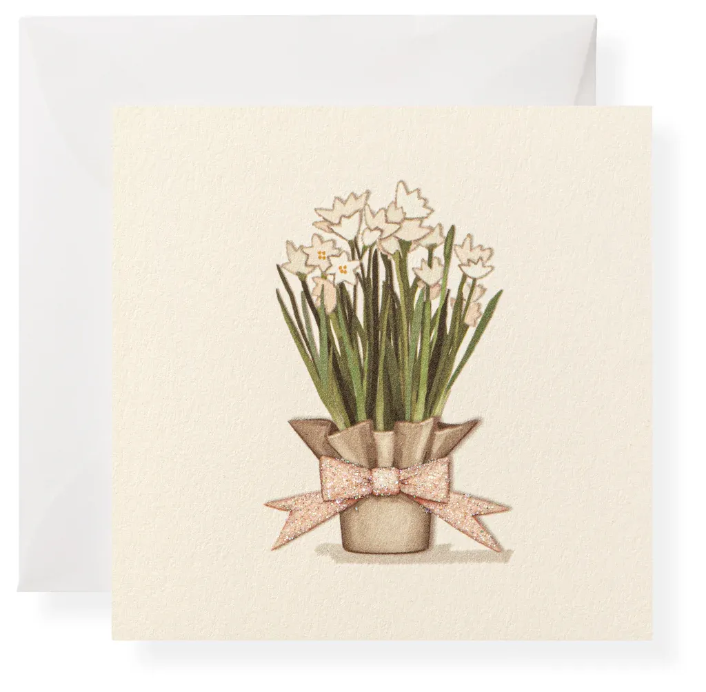 Gift Enclosure Paperwhites