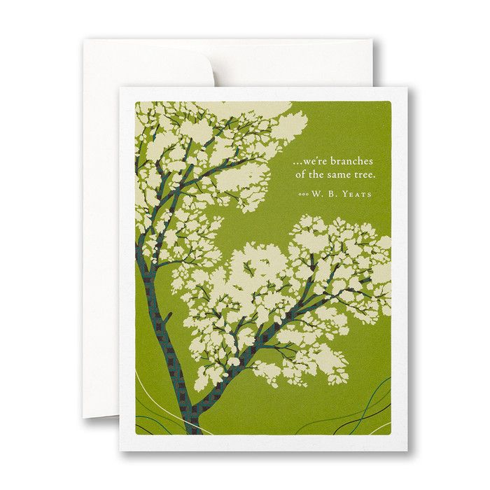 Card Were Branches Of The Same Tree