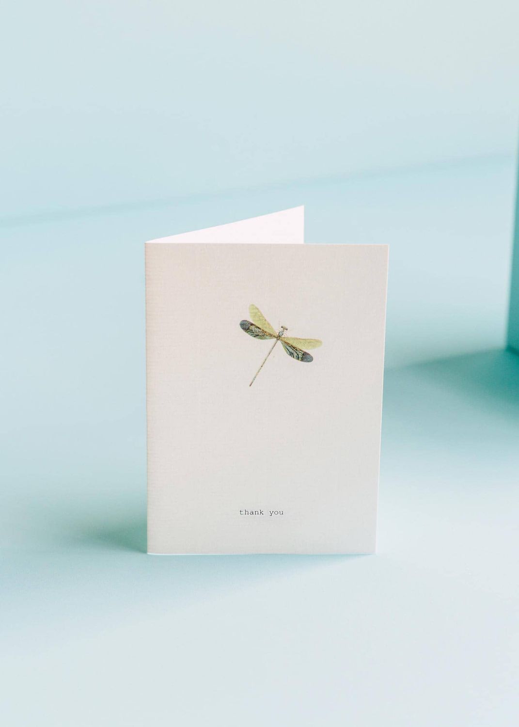 Card Thank you Dragonfly