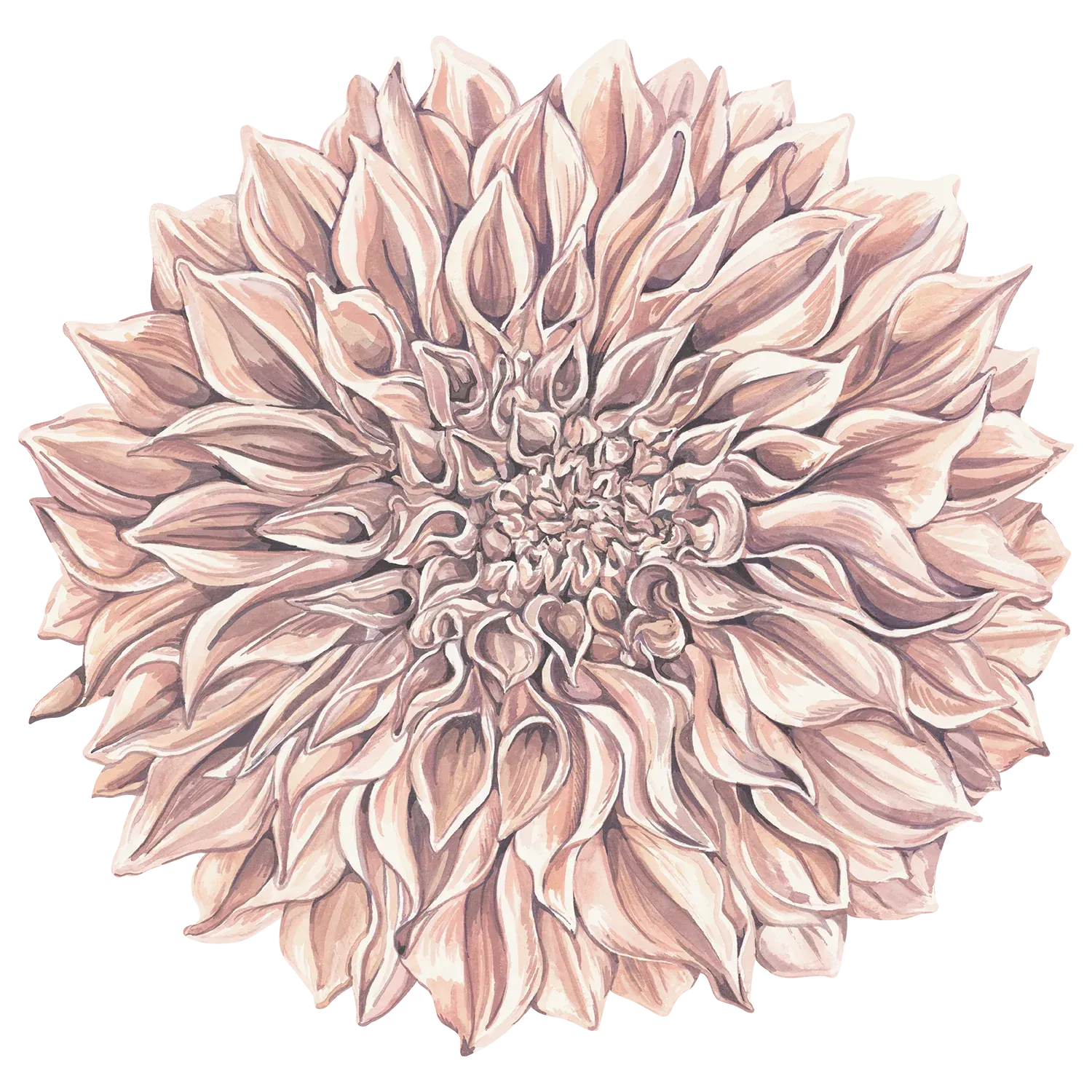 Placemats Dahlia Pack Of 12