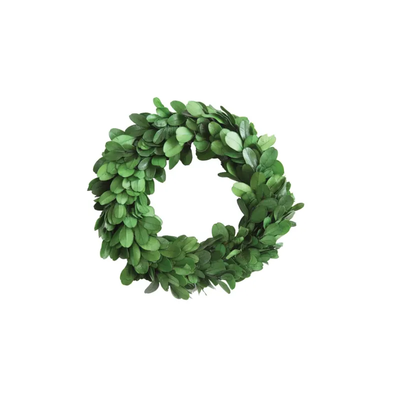 Round Preserved Boxwood Wreath 6&quot;