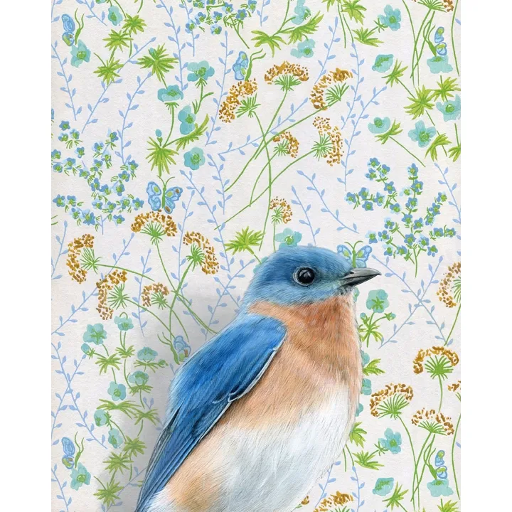 Fine Art Print Bluebird 8.5&quot; x 8.5&quot;