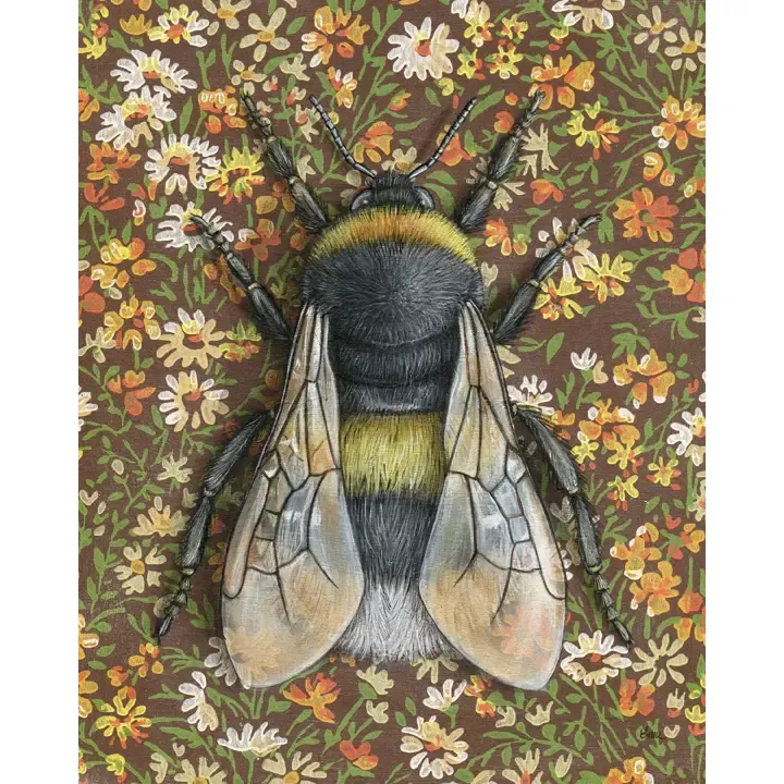 Fine Art Print Bumblebee Brown 5&quot;x7&quot;