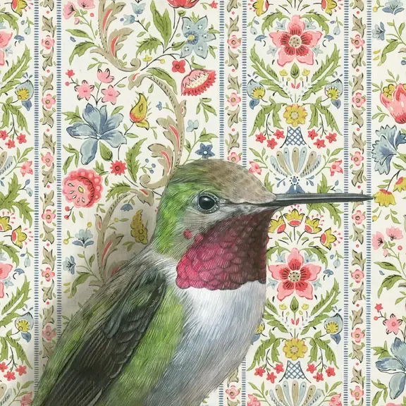 Fine Art Print Ruby Throated Hummingbird 8.5&quot; x 8.5&quot;