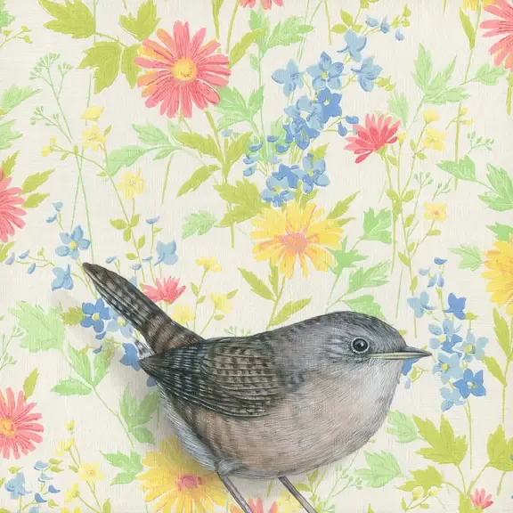 Fine Art Print House Wren 8.5&quot; x 8.5&quot;