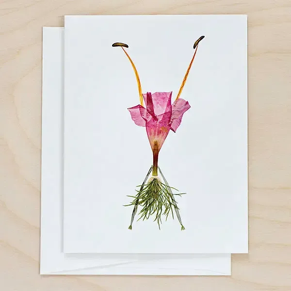 Card Cartwheel