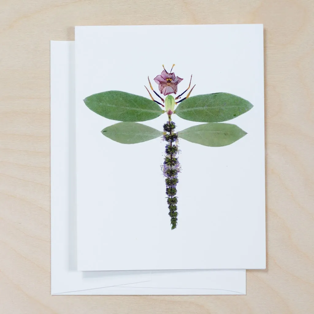 Card Dragonfly