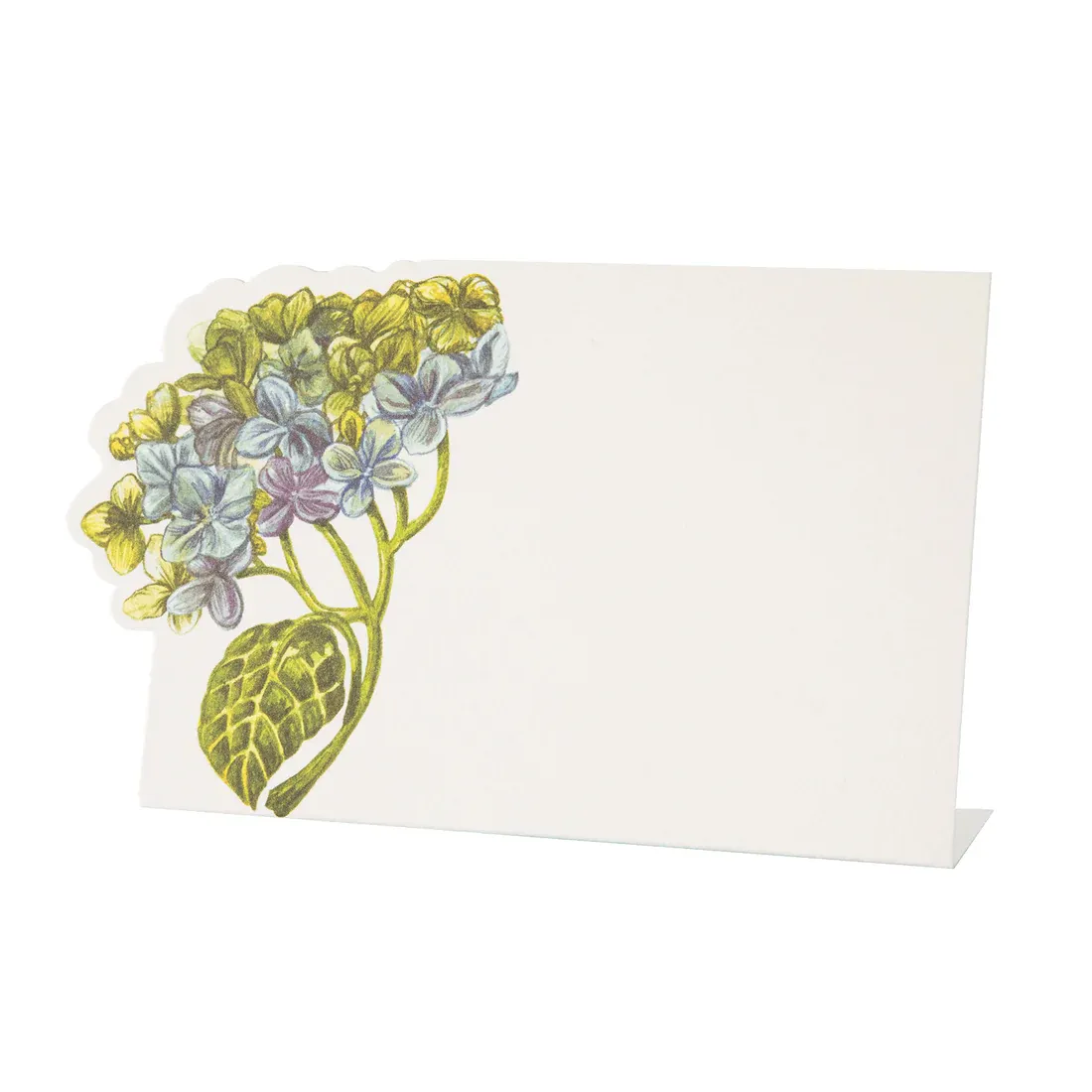 Place Cards Hydrangea Pack Of 12
