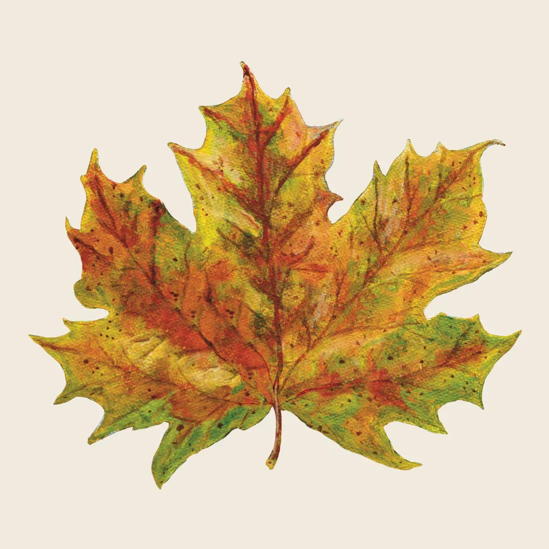 Cocktail Napkins Fall Foliage