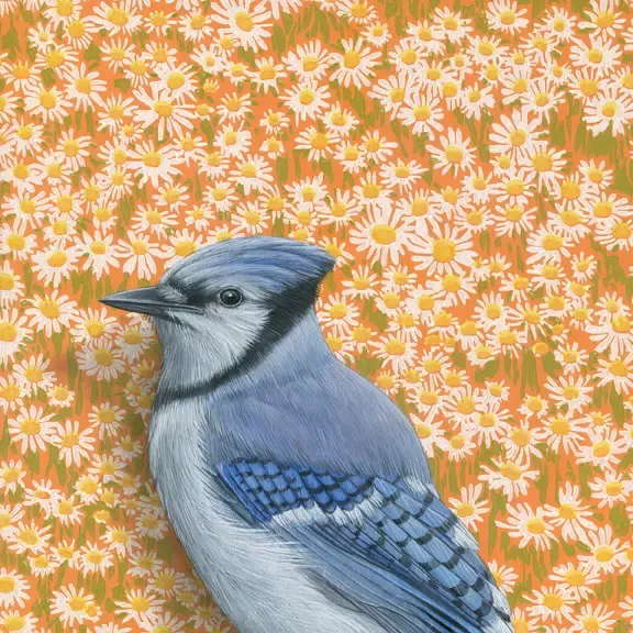 Fine Art Print Bluejay 8.5&quot; x 8.5&quot;