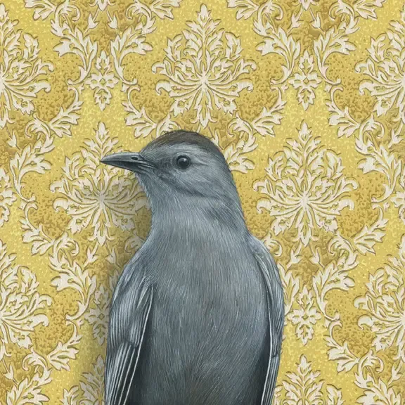 Fine Art Print Catbird 8.5&quot; x 8.5&quot;