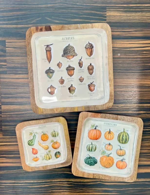 Square Enameled Mango Wood Tray With Acorns 10x10