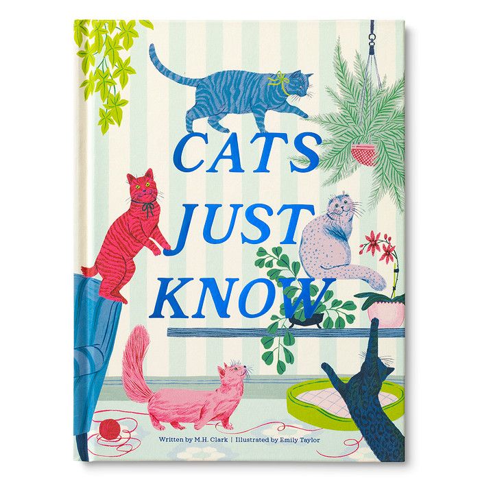 Cats Just Know Book