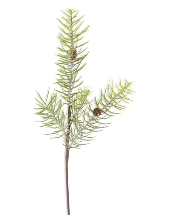 Powdered Long Pine Stem With Mini Pinecones 28&quot;