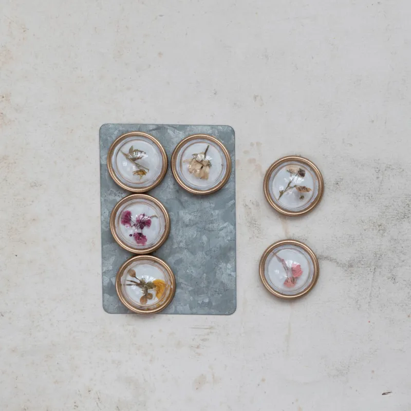 Set Of 6 Dried Flower Magnets On Card 1.5"