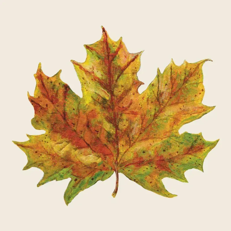 Cocktail Napkins Fall Foliage
