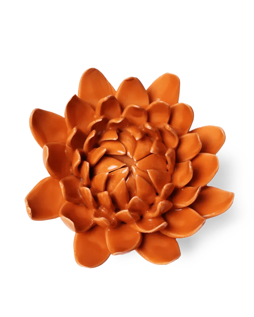 Dahlia Orange