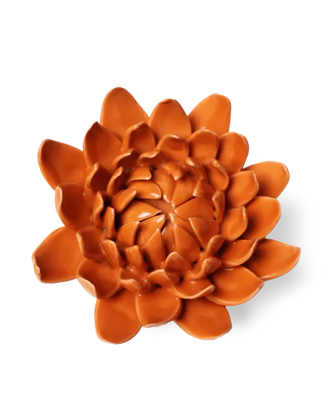 Dahlia Orange