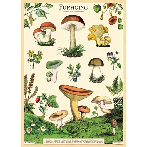 Vertical Poster Foraging
