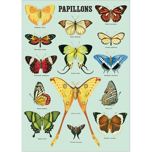 Vertical Poster Papillons