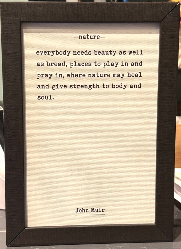John Muir Nature Mini Rectangle Ebony Frame Final Sale