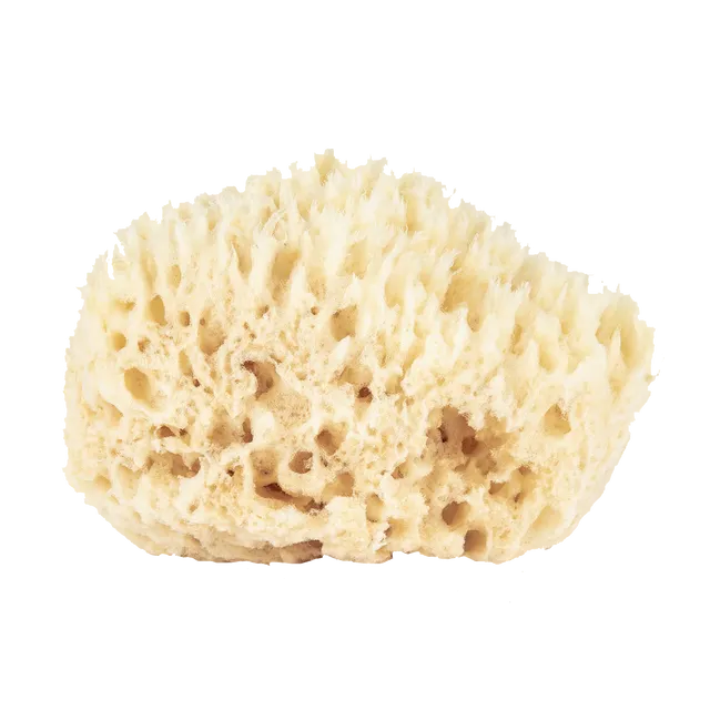 Small Wool Sponge